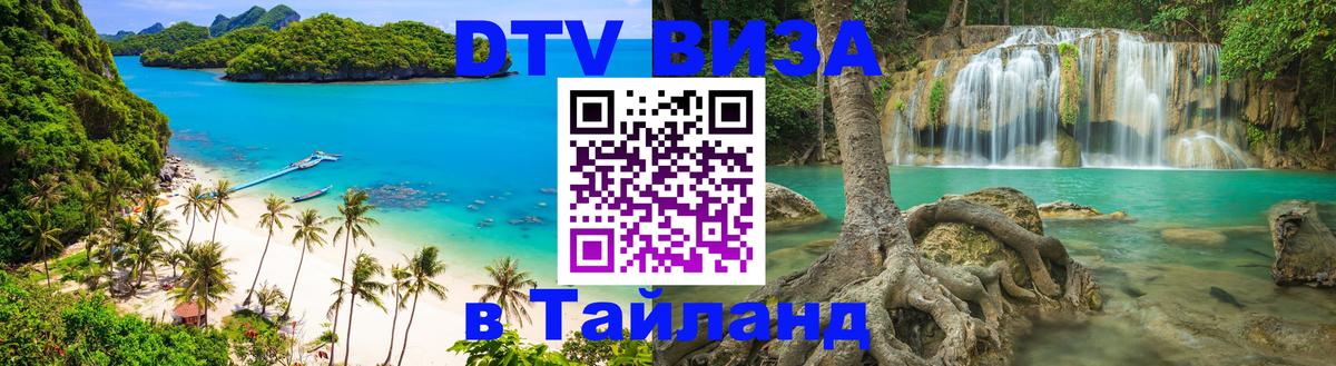 Оформление DTV визы под ключ: стоимость и тарифы, только загранпаспорт - 